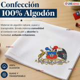 Pack 6 Pañuelos Baile Cueca 36cm Bordado Escudo Chileno Algodón Fiestas Patrias