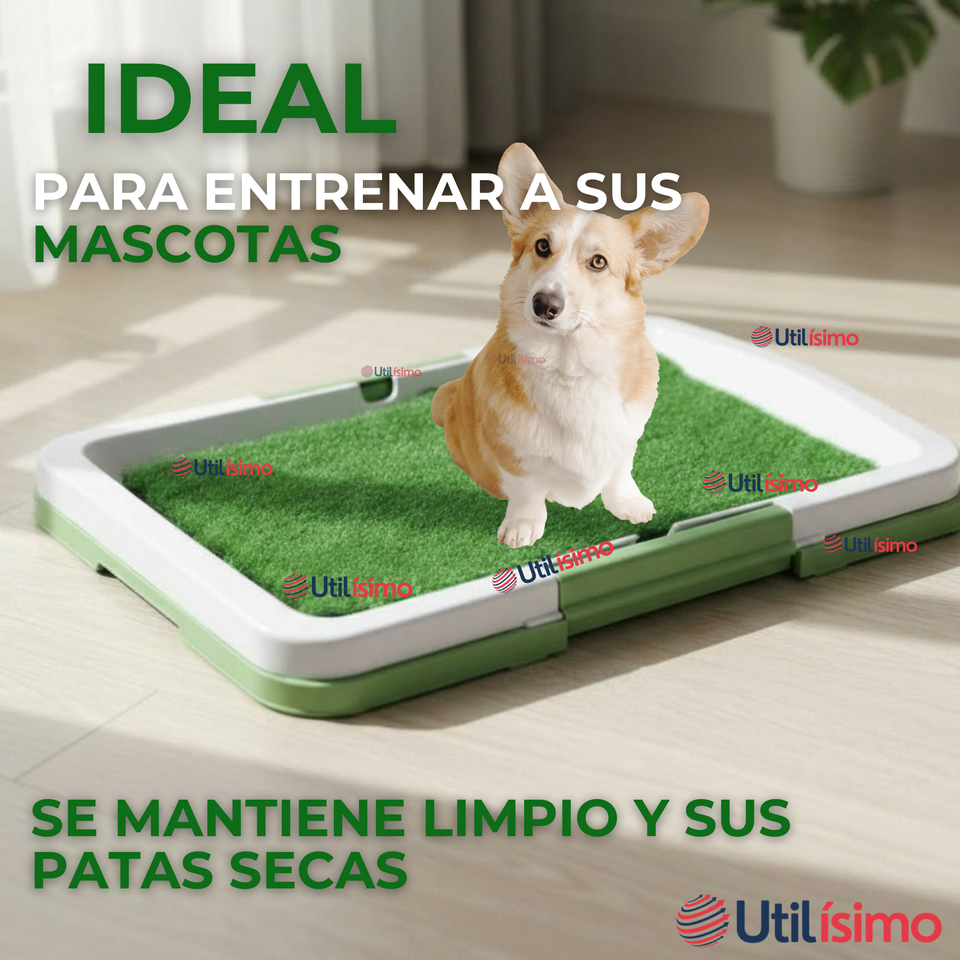 Baño Ecológico Reutilizable Para Perros Adiestramiento Mascotas