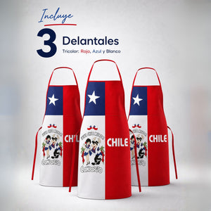 Pack 3 Delantal Pechera Condorito Bandera Chile Fiestas Patrias