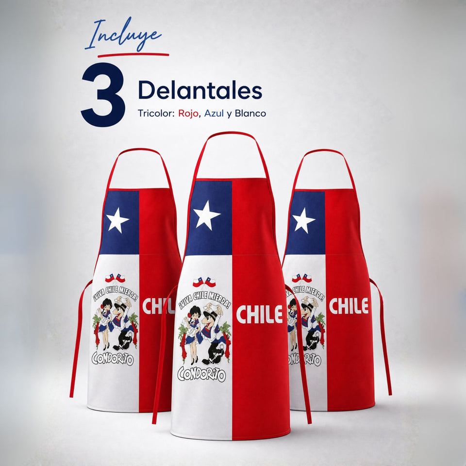 Pack 3 Delantal Pechera Condorito Bandera Chile Fiestas Patrias