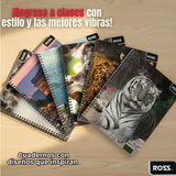 Pack 10 Cuadernos Universitario Animal & Places Ross 7mm 100 hojas Diseños Surtidos