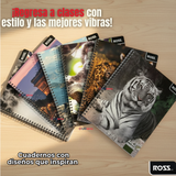 Pack 5 Cuadernos Universitario Animal & Places Ross 7mm 100 hojas Diseños Surtidos