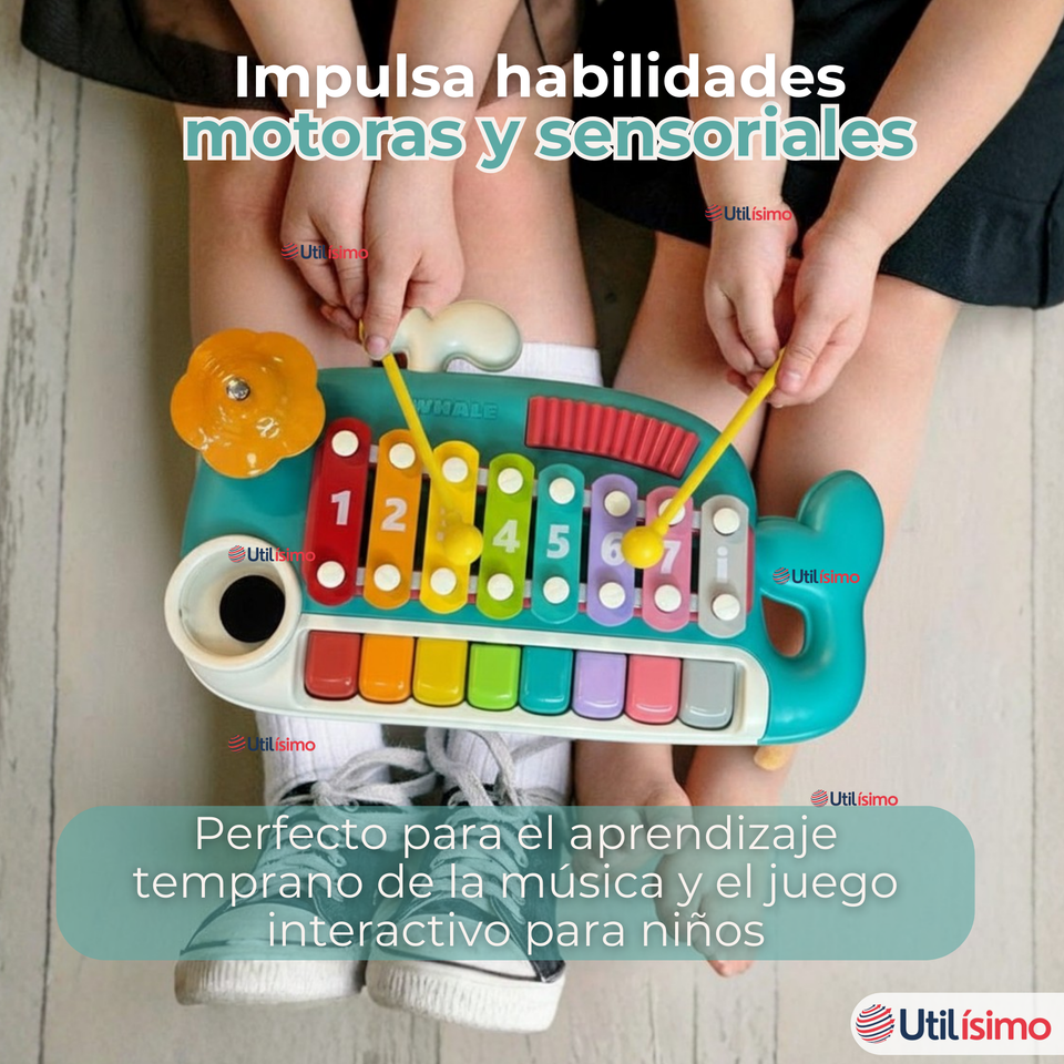 Juguete Xilófono Piano 5 en 1 Bebé Niña Niño Interactivo Notas Multicolor