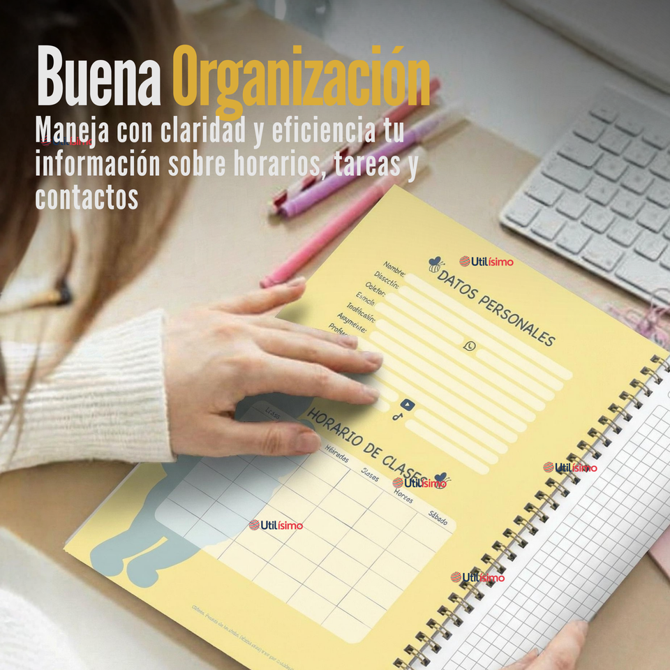 Pack 5 Cuadernos Universitarios Winnie Pooh 100 Hojas Proarte Diseño Surtido