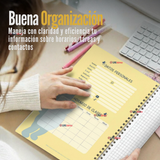 Pack 10 Cuadernos Universitarios Winnie Pooh 100 Hojas Proarte Diseño Surtido