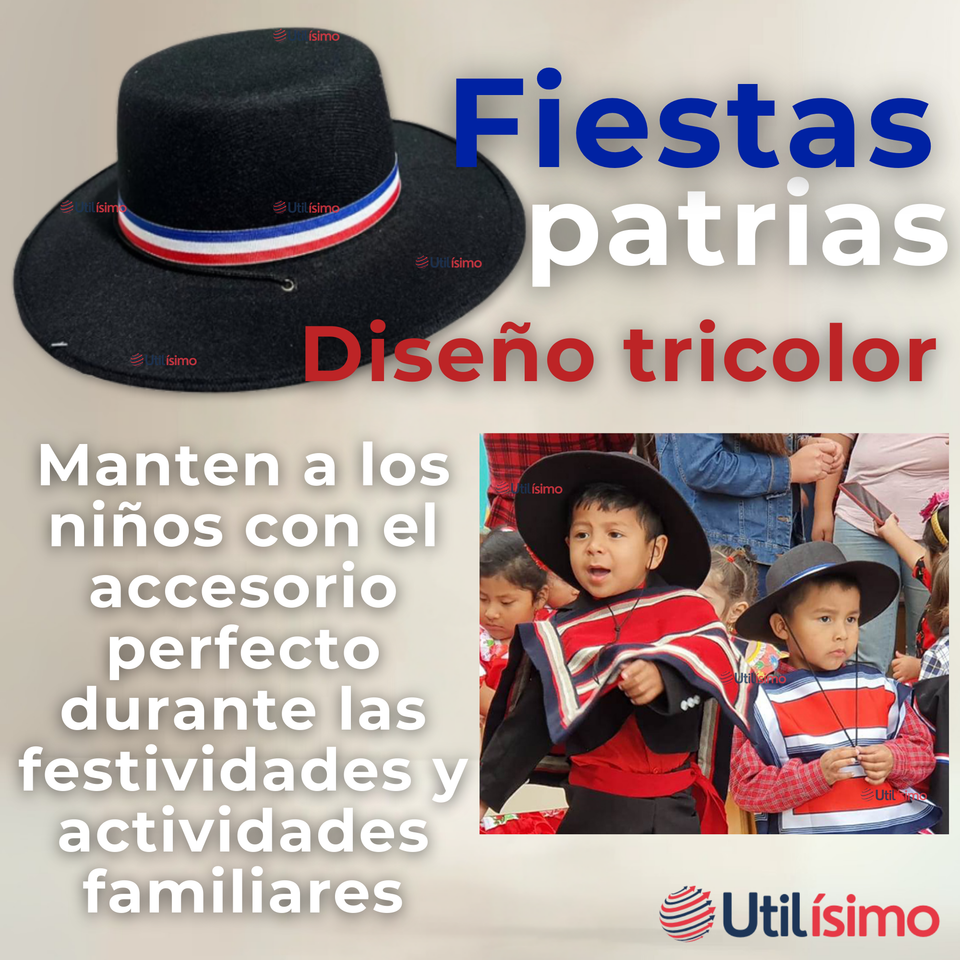 Sombrero Huaso Ajustable Elegante Fiestas Patrias