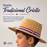 Sombrero Chupalla Huaso Juvenil Fiestas Patrias Chile Niño