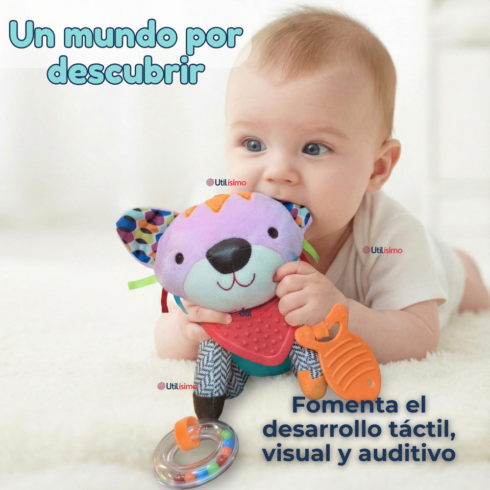 Juguete Peluche Animales Sensorial Con Mordedor Y Sonajero Diseño Gatico Niña y Niño