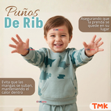 Conjunto Buzo Polerón 2 Piezas Bebé Niño Estampado Dinosaur