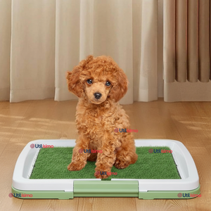 Baño Ecológico Reutilizable Para Perros Adiestramiento Mascotas