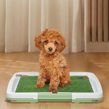 Baño Ecológico Reutilizable Para Perros Adiestramiento Mascotas