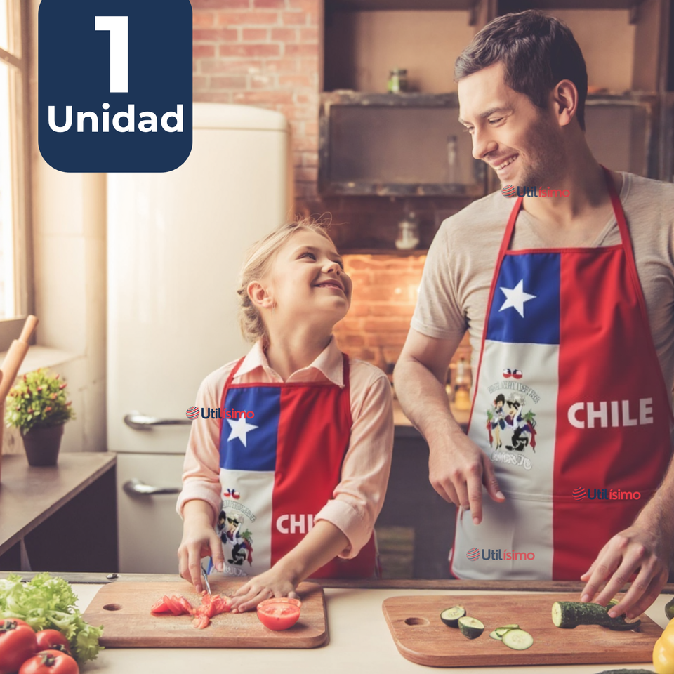 Delantal Cocina Chile Fiestas Patrias Bandera Chilena 60X90 CM Condorito
