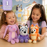 Peluche Bluey Diseños Surtidos Niña Suaves Felpa Premium