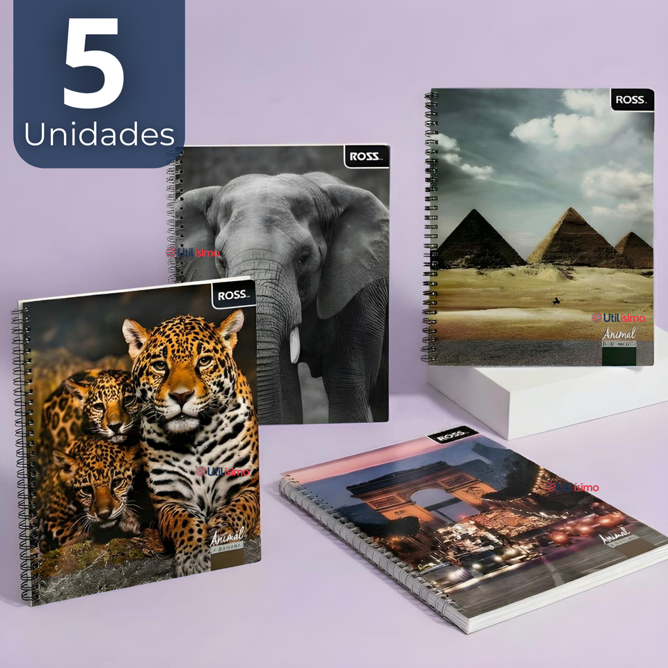 Pack 5 Cuadernos Universitario Animal & Places Ross 7mm 100 hojas Diseños Surtidos