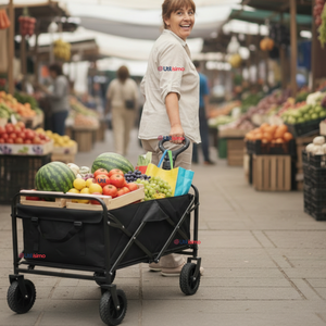 Carrito Compras Plegable Organizador Ideal Para El Camping 100Kg