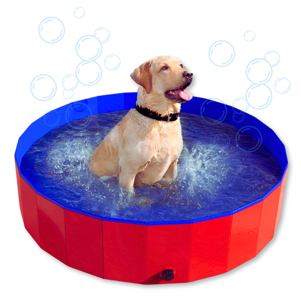 Piscina Bañera Portátil Plegable Perros Y Mascotas 80x20cm