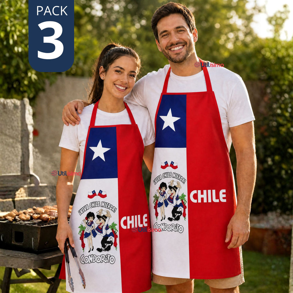 Pack 3 Delantal Pechera Condorito Bandera Chile Fiestas Patrias