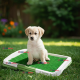 Baño Ecológico Reutilizable Para Perros Adiestramiento Mascotas