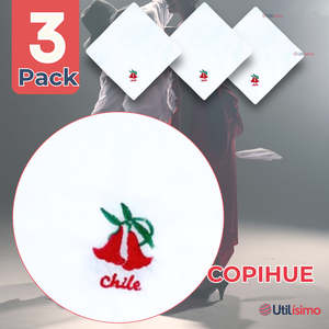Pack 3 Pañuelos Baile Cueca 36 CM Bordado COPIHUE Fiestas Patrias