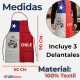 Pack 3 Delantal Cocina Chile Fiestas Patrias Bandera Chilena 60X90 CM Condorito