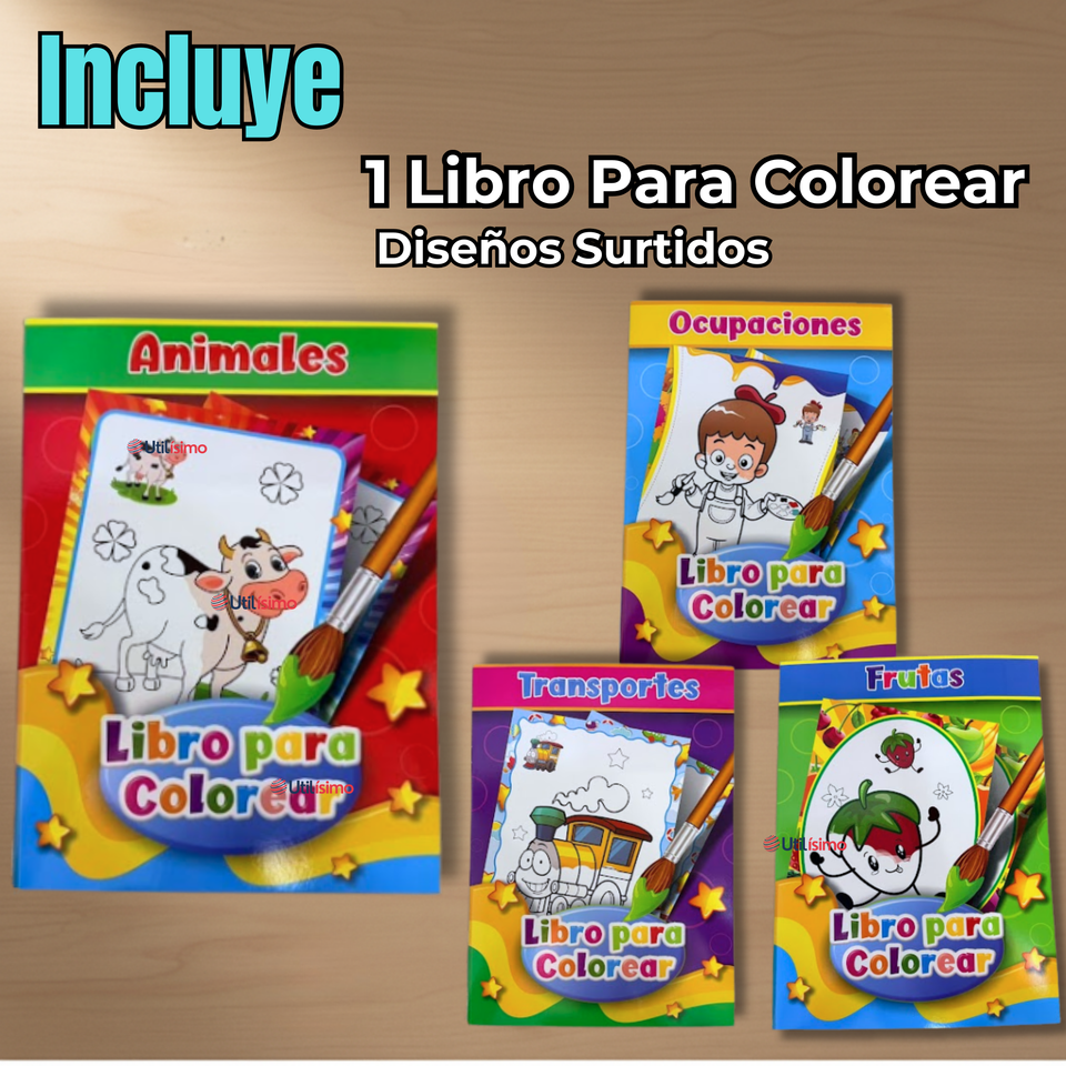 Libro Para Colorear Pintar Educativo Diseños Surtidos