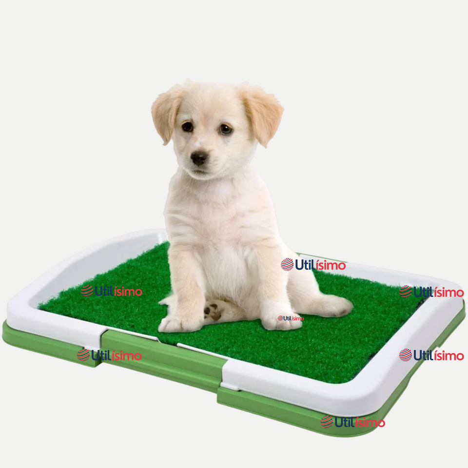 Baño Ecológico Reutilizable Para Perros Adiestramiento Mascotas