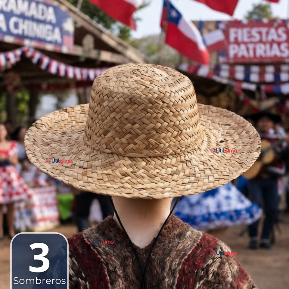 Pack 3 Sombreros Chupalla Huaso Niño Fiestas Patrias