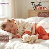 Conjunto 2 Piezas Buzo Pantalón Y Polerón Con Capucha Tela Plush Bebé Niño