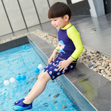 TRAJE DE BAÑO SPF UV50+ 2 PIEZAS MANGA LARGA NIÑO Navy Blue Shark