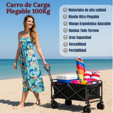 Carrito Compras Plegable Organizador Ideal Para El Camping 100Kg