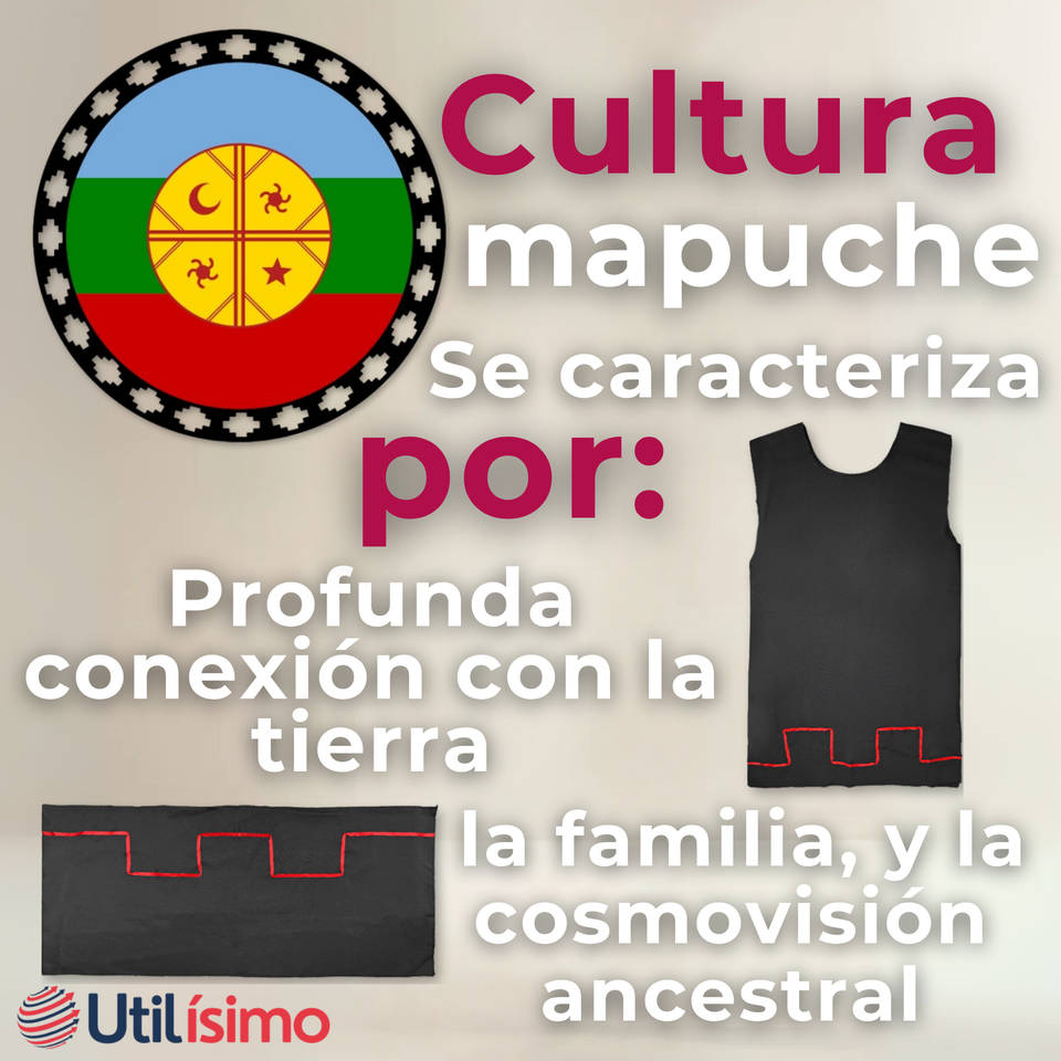 Traje Vestido Mapuche Niña 0 Meses hasta Talla S Vestimenta Típica