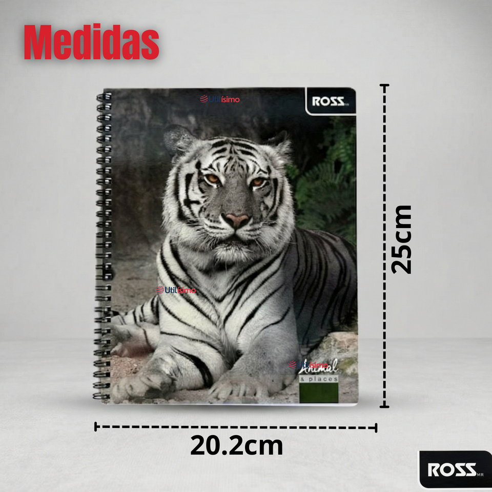 Pack 5 Cuadernos Universitario Animal & Places Ross 7mm 100 hojas Diseños Surtidos