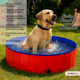 Piscina Bañera Portátil Plegable Para Perros 80x20cm