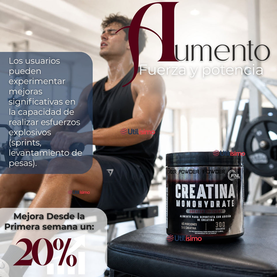 Creatina Monohidratada 300 Grs FNL