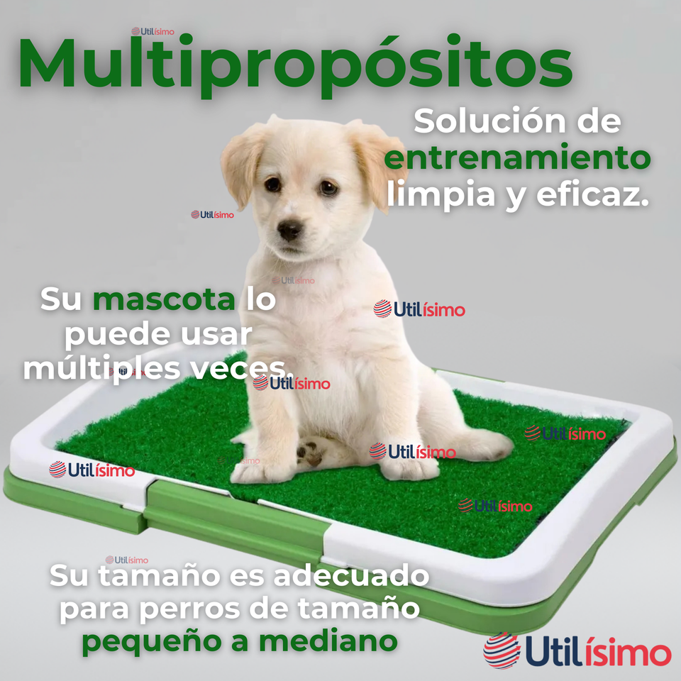 Baño Ecológico Reutilizable Para Perros Adiestramiento Mascotas