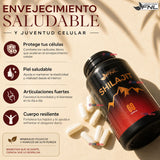 Shilajit 60 Capsulas FNL Energizante Y Adaptógeno