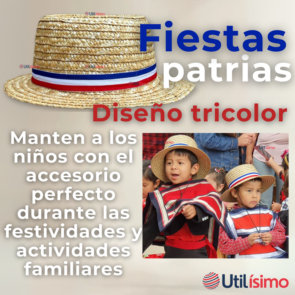 Sombrero Huaso Chupalla Ajustable Elegante Fiestas Patrias