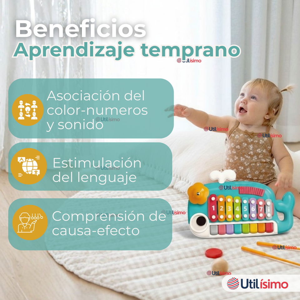 Juguete Xilófono Piano 5 en 1 Bebé Niña Niño Interactivo Notas Multicolor