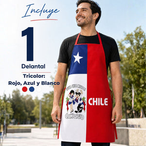 Delantal Pechera Condorito Bandera Chile Fiestas Patrias