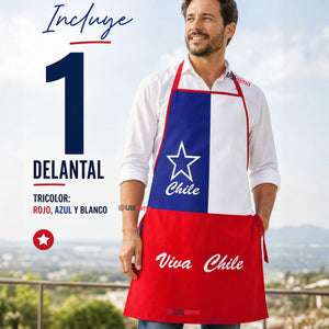Delantal Pechera Viva Chile Bandera Chile Fiestas Patrias