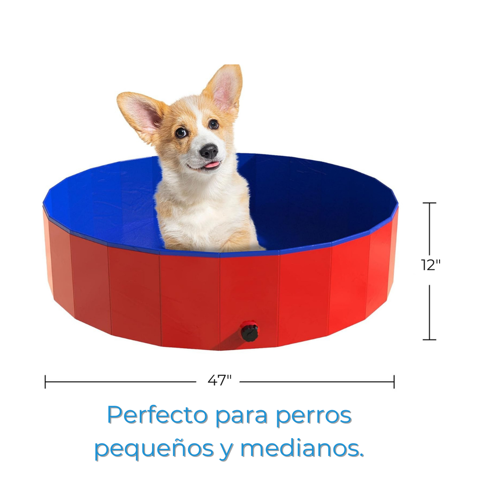 Piscina Bañera Portátil Plegable Perros Y Mascotas 80x20cm