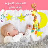 Peluche Sonajero De Bebé Mordedo Jirafa Peluche Sensorial Surtidos