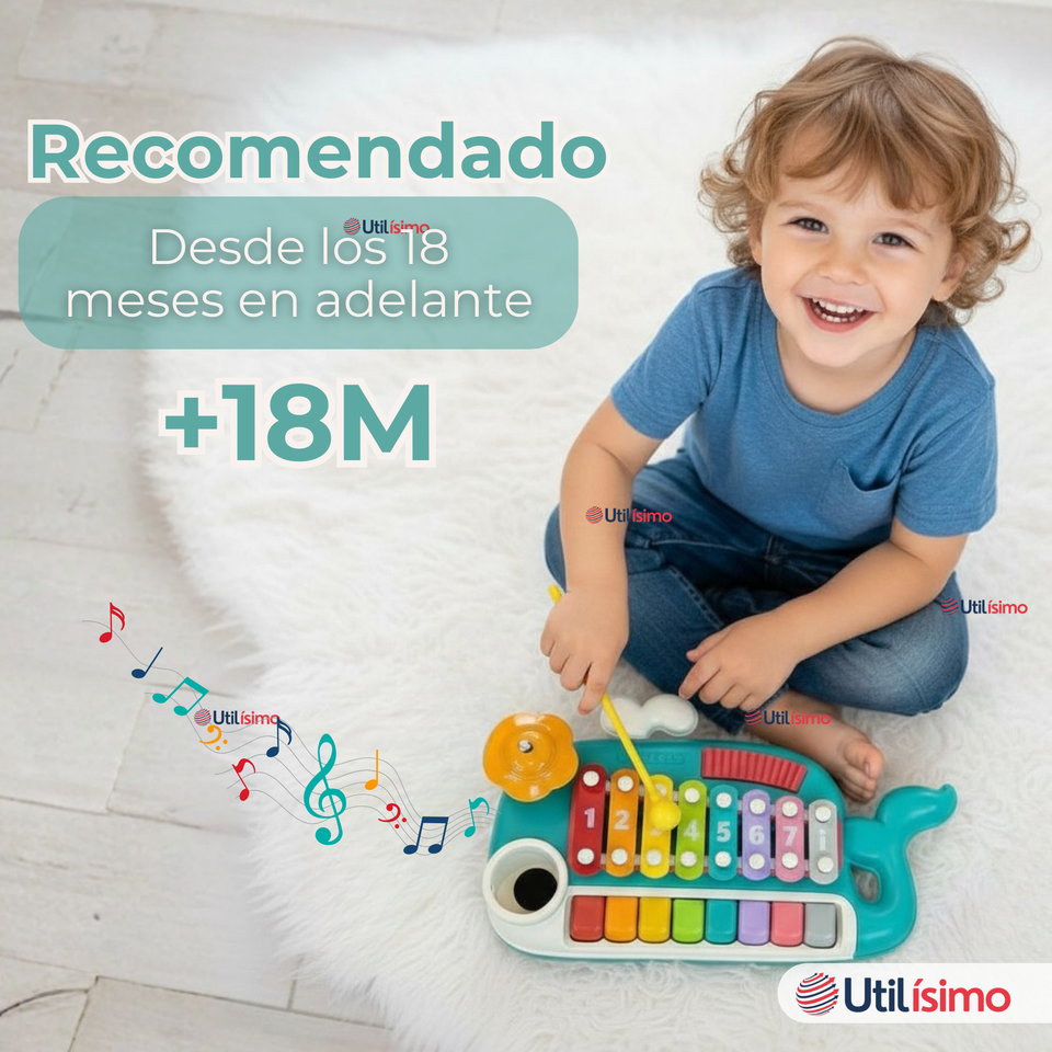 Juguete Xilófono Piano 5 en 1 Bebé Niña Niño Interactivo Notas Multicolor