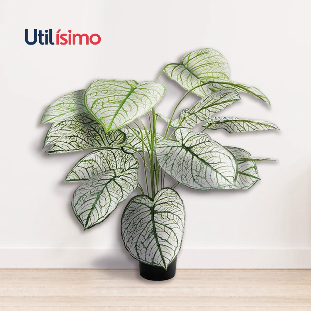 Planta artificial caladium blanca 50cm - Envío Gratis