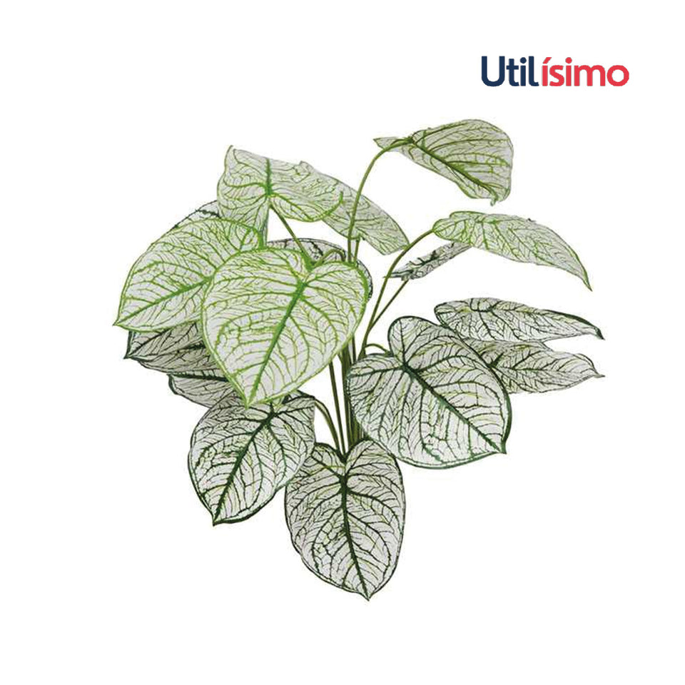 Planta artificial caladium blanca 50cm - Envío Gratis