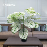 Planta artificial caladium blanca 50cm - Envío Gratis